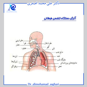 آلرژی دستگاه تنفسی فوقانی